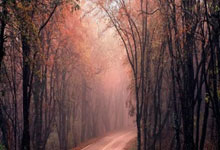 图卢兹主场逆转马赛，实力不可小觑