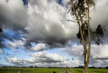 热刺后防铁桶密集，连续零封对手——防线如城墙，胜利从守护开始