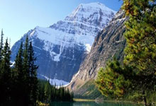 捷克队在女子篮球比赛中夺冠——荣耀与新篇章