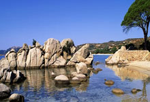 佛罗伦萨遭受重创，状态低迷：紫百合能否东山再起？