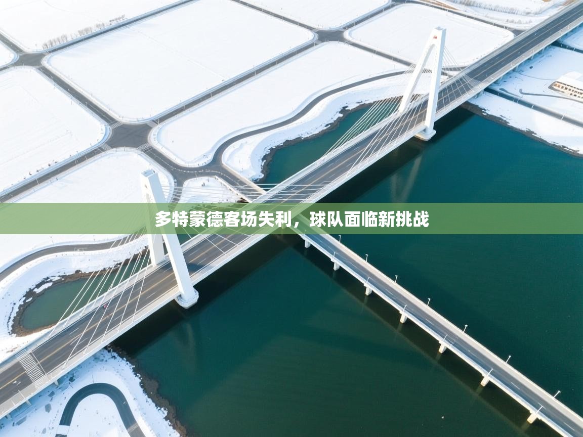 多特蒙德客场失利，球队面临新挑战  第2张