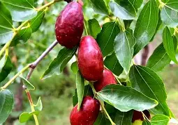 宁夏航天攻防平衡，暂时难分胜负